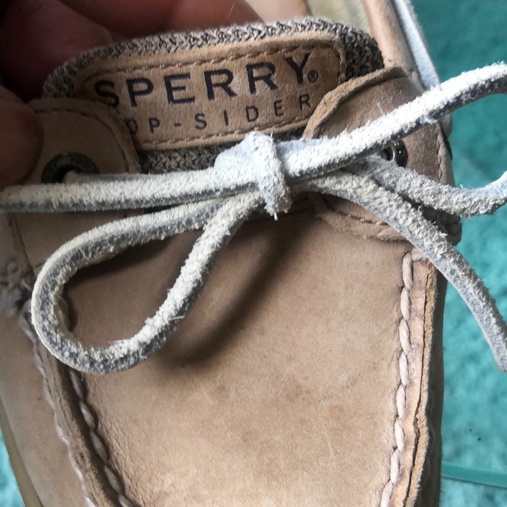 Angelfish Sperry - Picture 3 of 3
